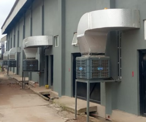 Nigerian distilleries limited