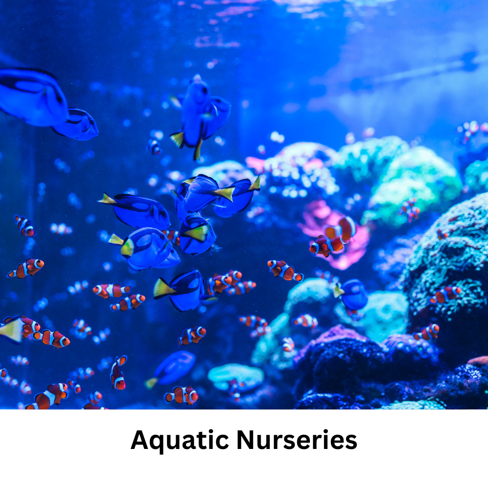 Aquatic nurseries