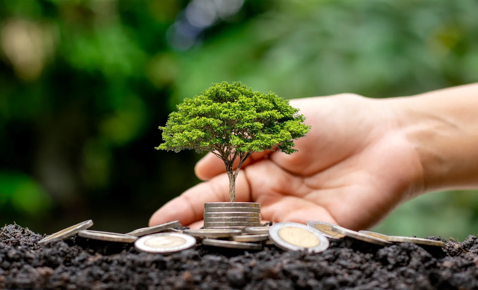 Calculate Renewable Energy Prices in UAE